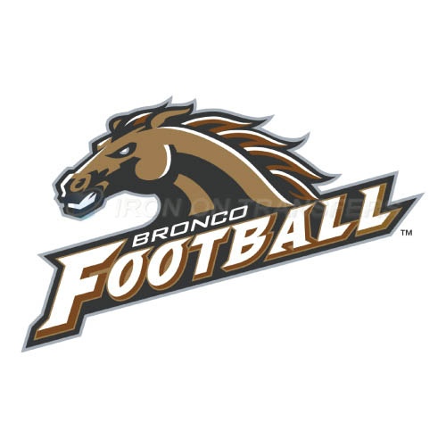 Western Michigan Broncos Iron-on Stickers (Heat Transfers)NO.6990